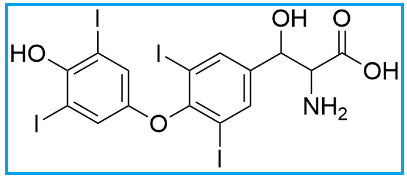 LEVOTHYROXINE EP IMPURITY A | LIOTHYRONINE